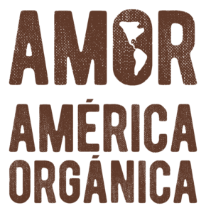Logo America